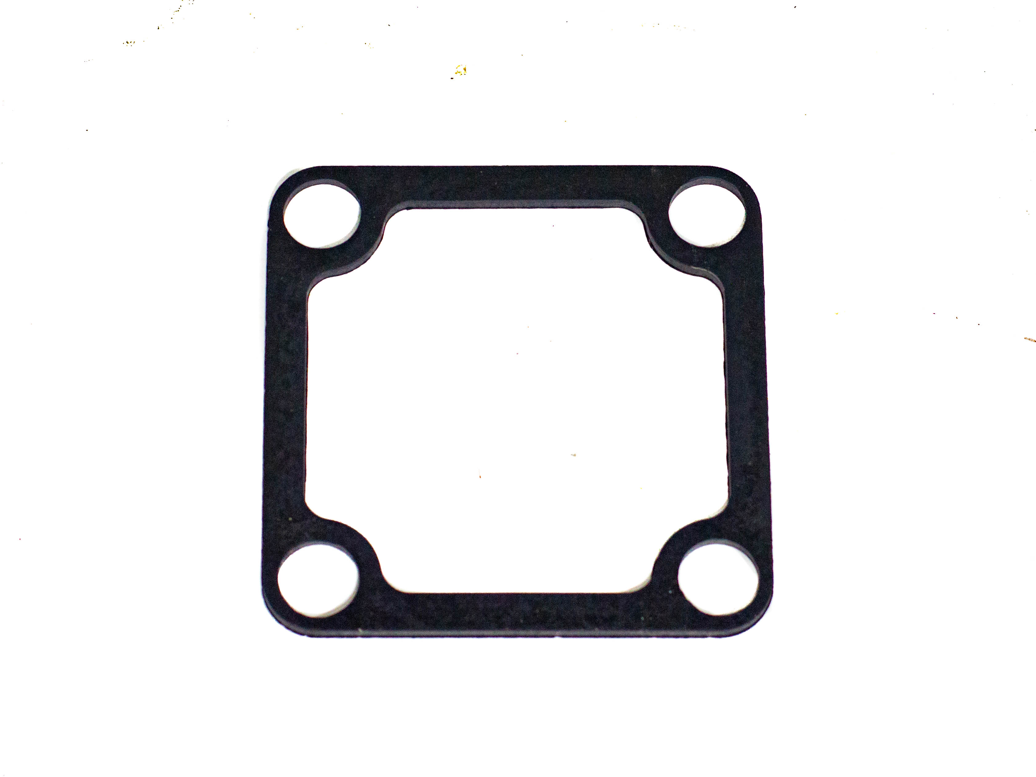 2" OUTLET GASKET WB20X