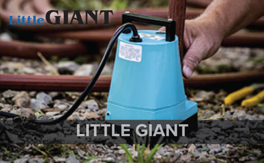 LITTLE GIANT