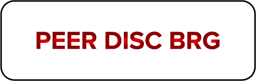 PEER DISC BRG